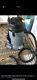 Karcher nt48/1 1380W 48ltr wet&dry vacuum cleaner 240v