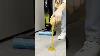 Tackle Everyday Messes With The 18v One HP Brushless Wet And Dry Hard Floor Cleaner Rhfc18x14